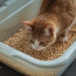 cat litter pellets