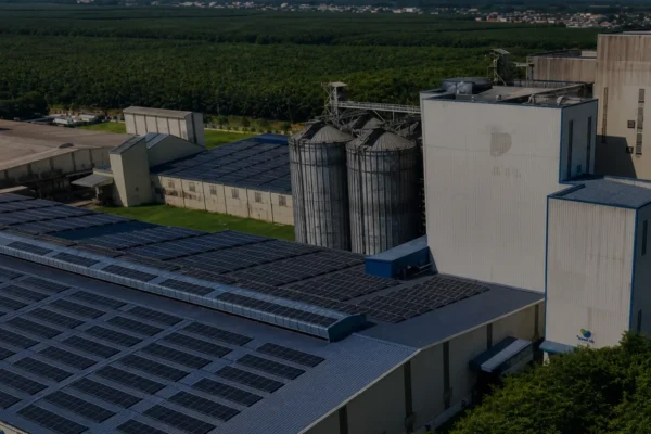 Aerial view of large poultry and livestock feed production line, complete animal feed mill plant factory